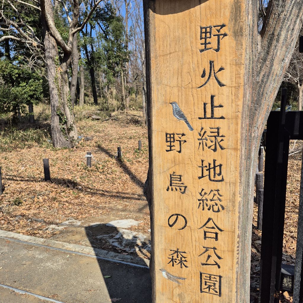 隙間バイト帰り、平林寺周辺の森を散策してきました