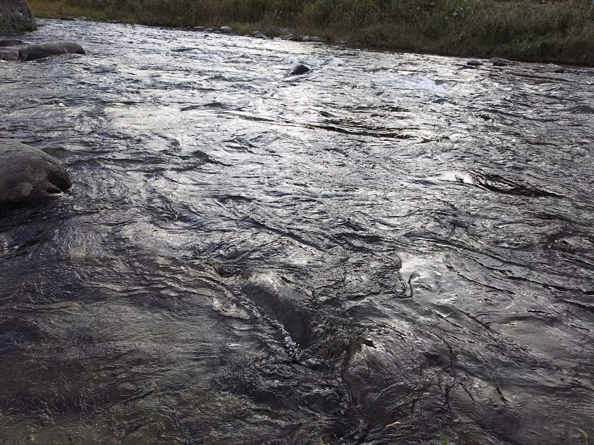 全力紹介ダレトーク～ただの山の子～