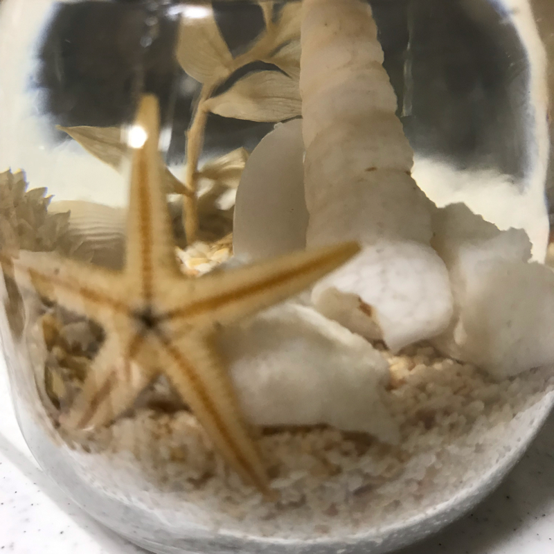 #4 理想の結婚について語ってみたよ