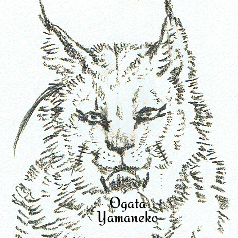 アトリの隠れ家(隠れてない)