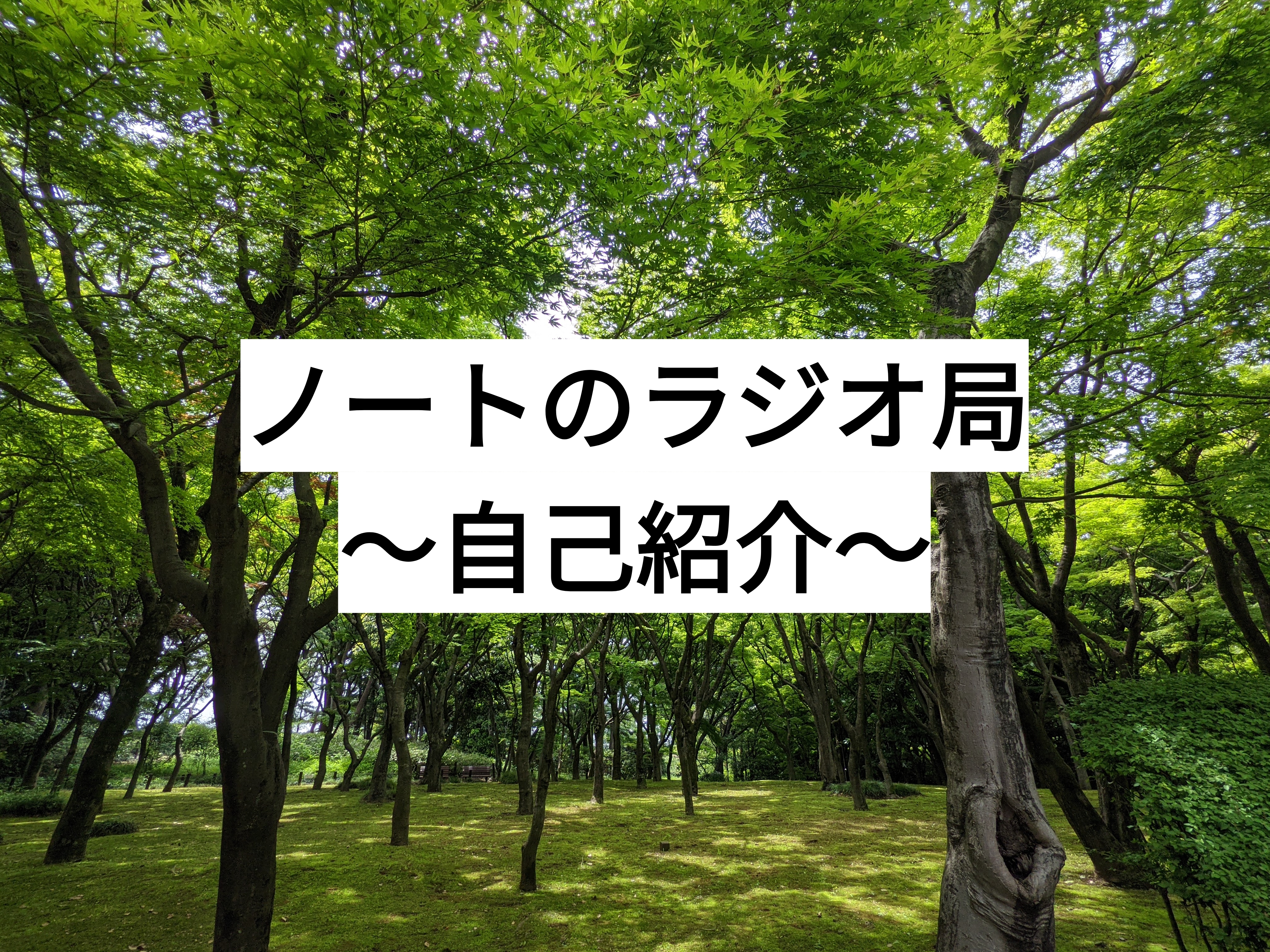 初投稿！ ノートのラジオ局〜自己紹介〜