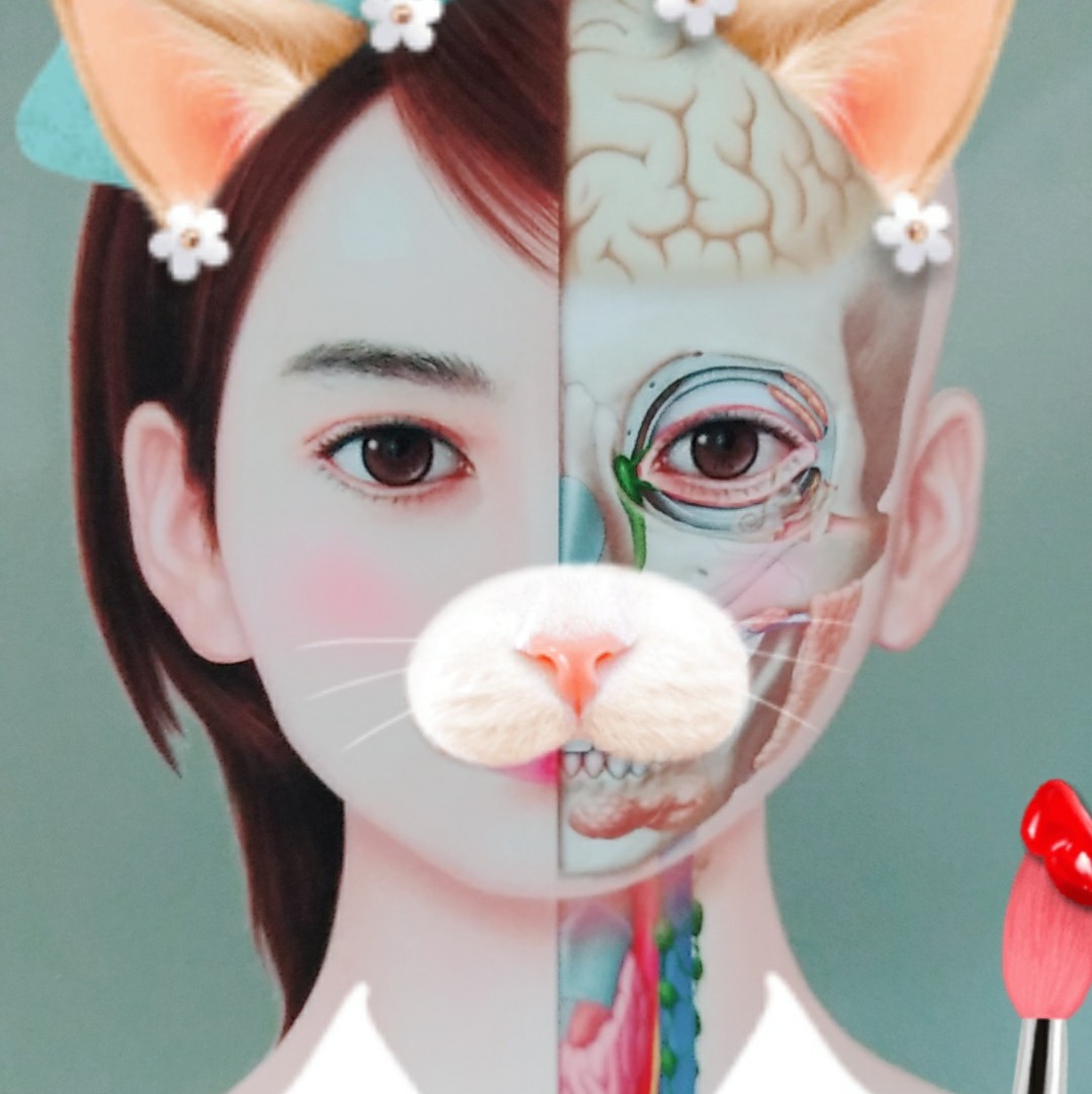 ③Android版アプリって