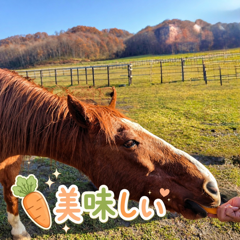 𖤣𖠿𖤣⋆*🏇へぇ〜となる競馬のおはなし