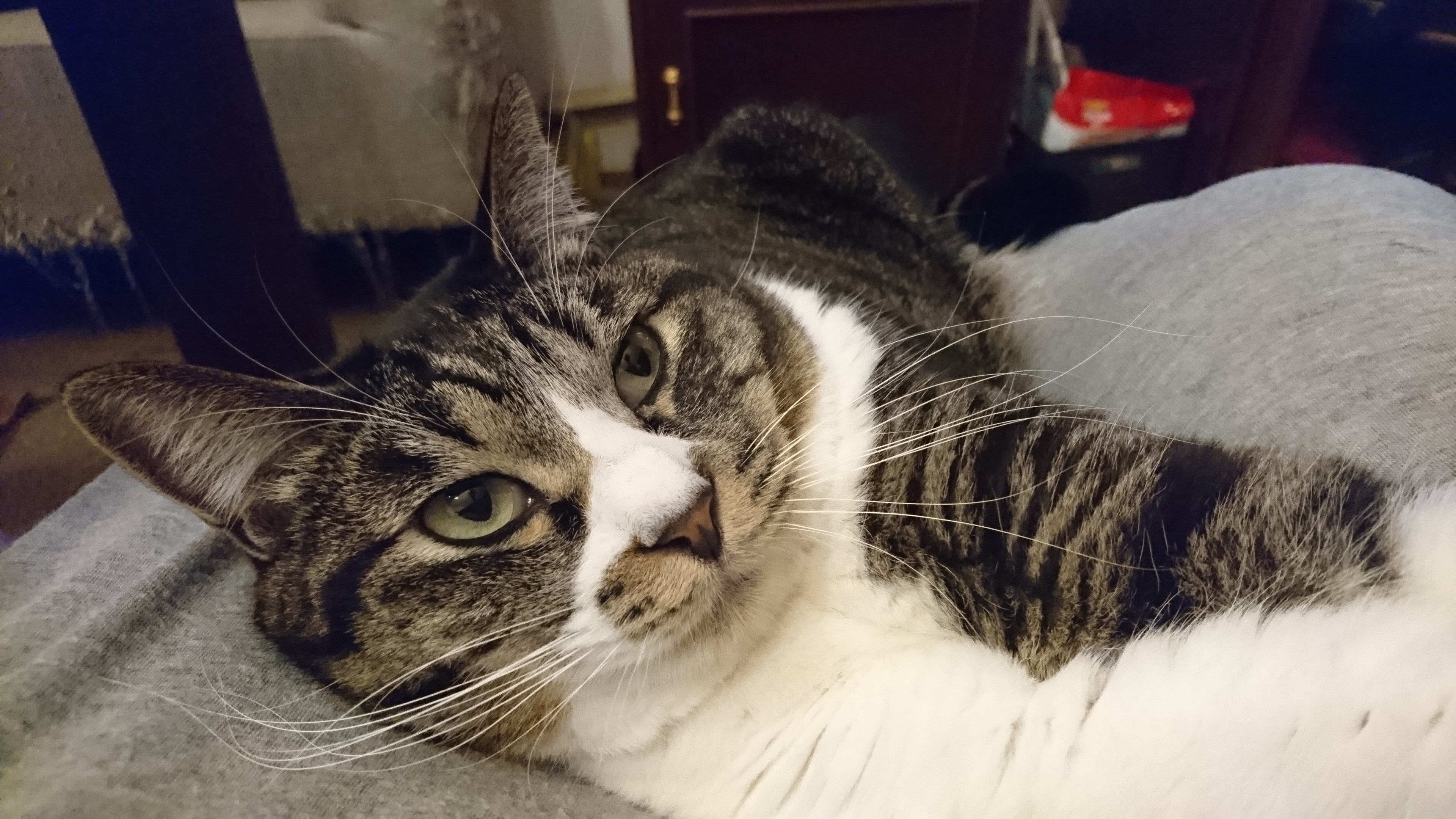 引きこもりの今年の目標