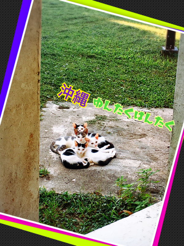 #4 望む現実を創り出す方法