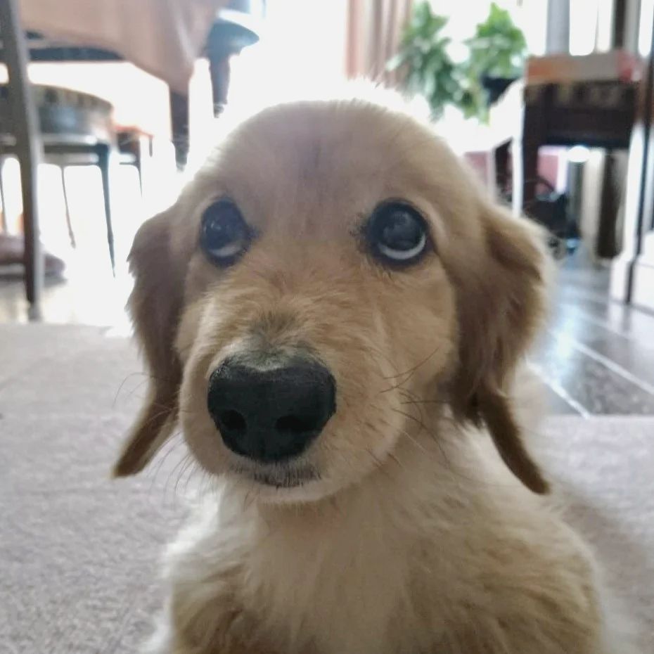 #27 先の予定を組めない自己中な女の話