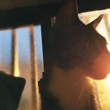 ゆったりグダッてこ