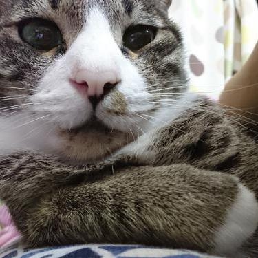 #１ はじめましてのグダり