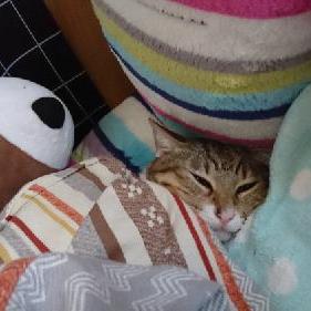 #2 ブルーライトカット！カット！！