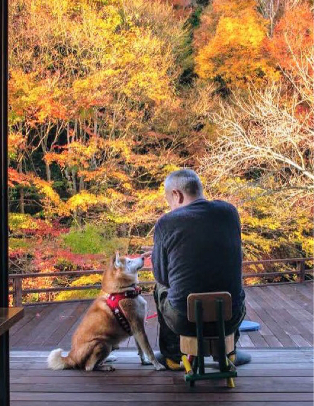 はじめましてです