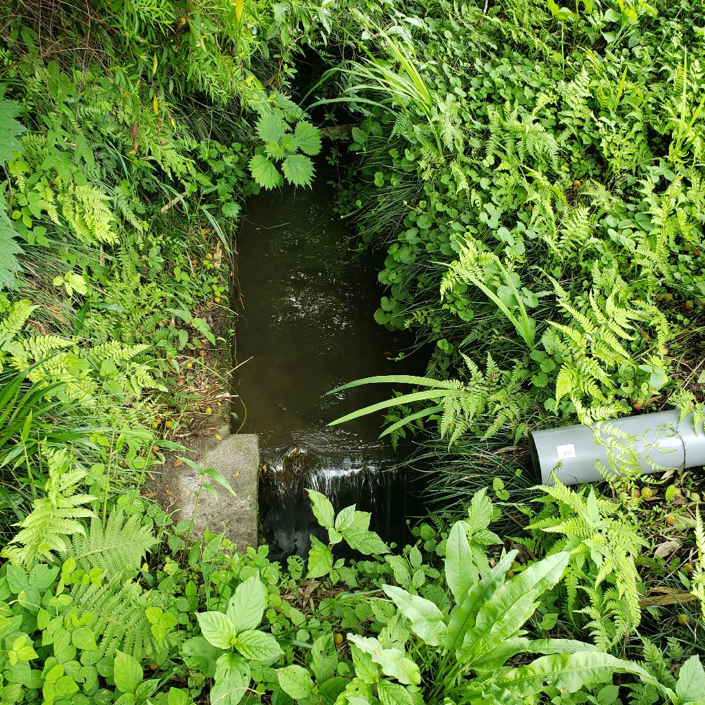 めぐみRADIO/早朝のアメージンググレイス