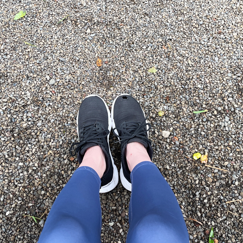 あさんぽを始めました