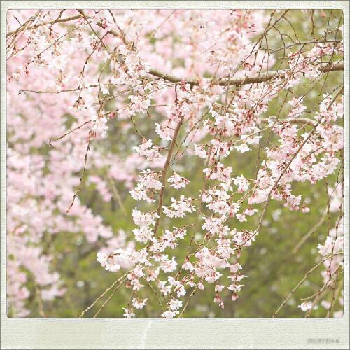 ※テスト配信※ レイヤー今昔