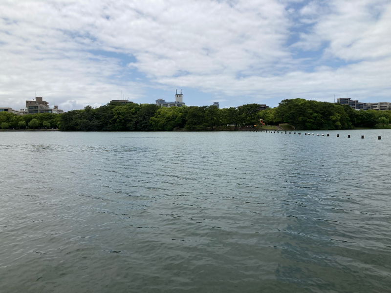 おやすみラジオ#44 脳への負荷