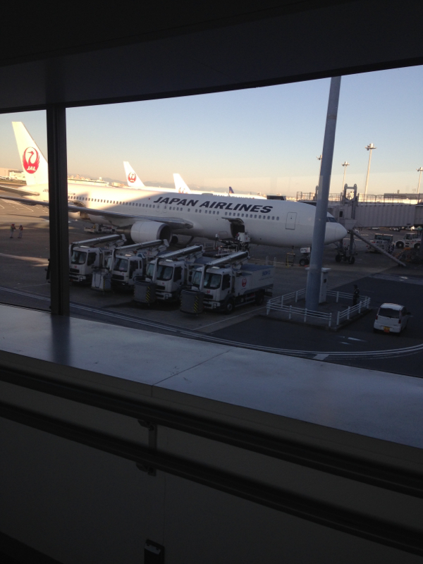 おやすみラジオ#53 ゲロゲロゲロッピ