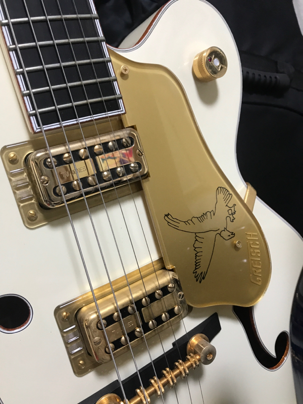 ホワイトファルコンと私