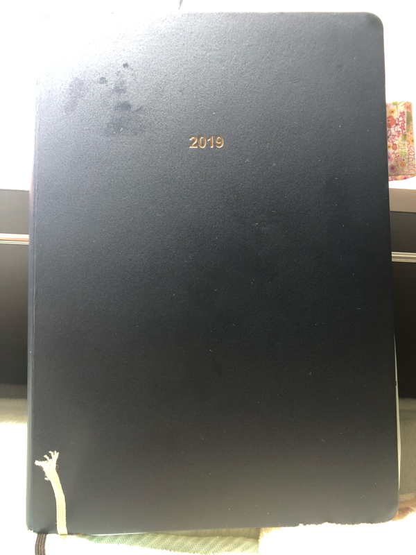 #19 夢は自分で引き寄せる