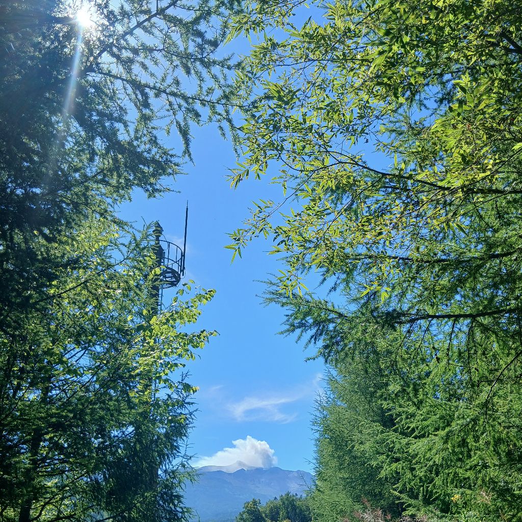 旅記録6