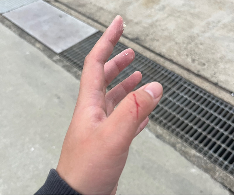 釣りとか古い友人にあったとか肉とか