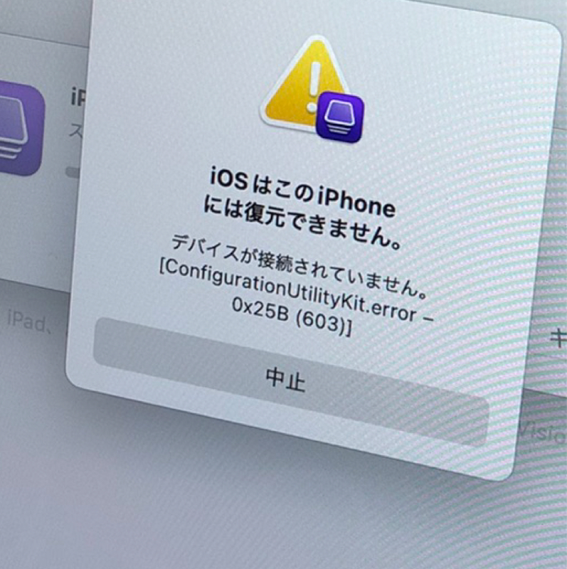 🌲謹賀新年🎄スゥーﾝ