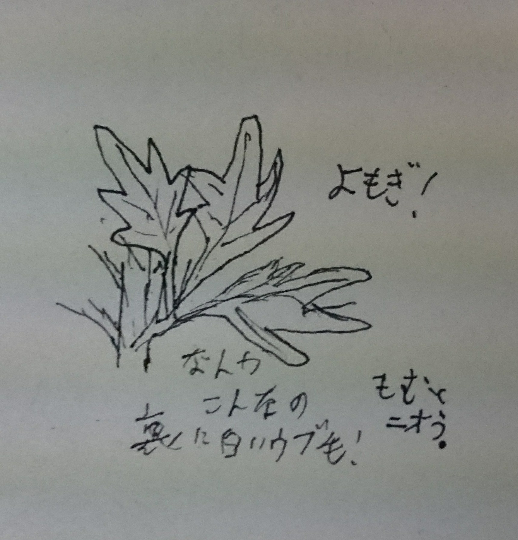 ヨモギのおはなし