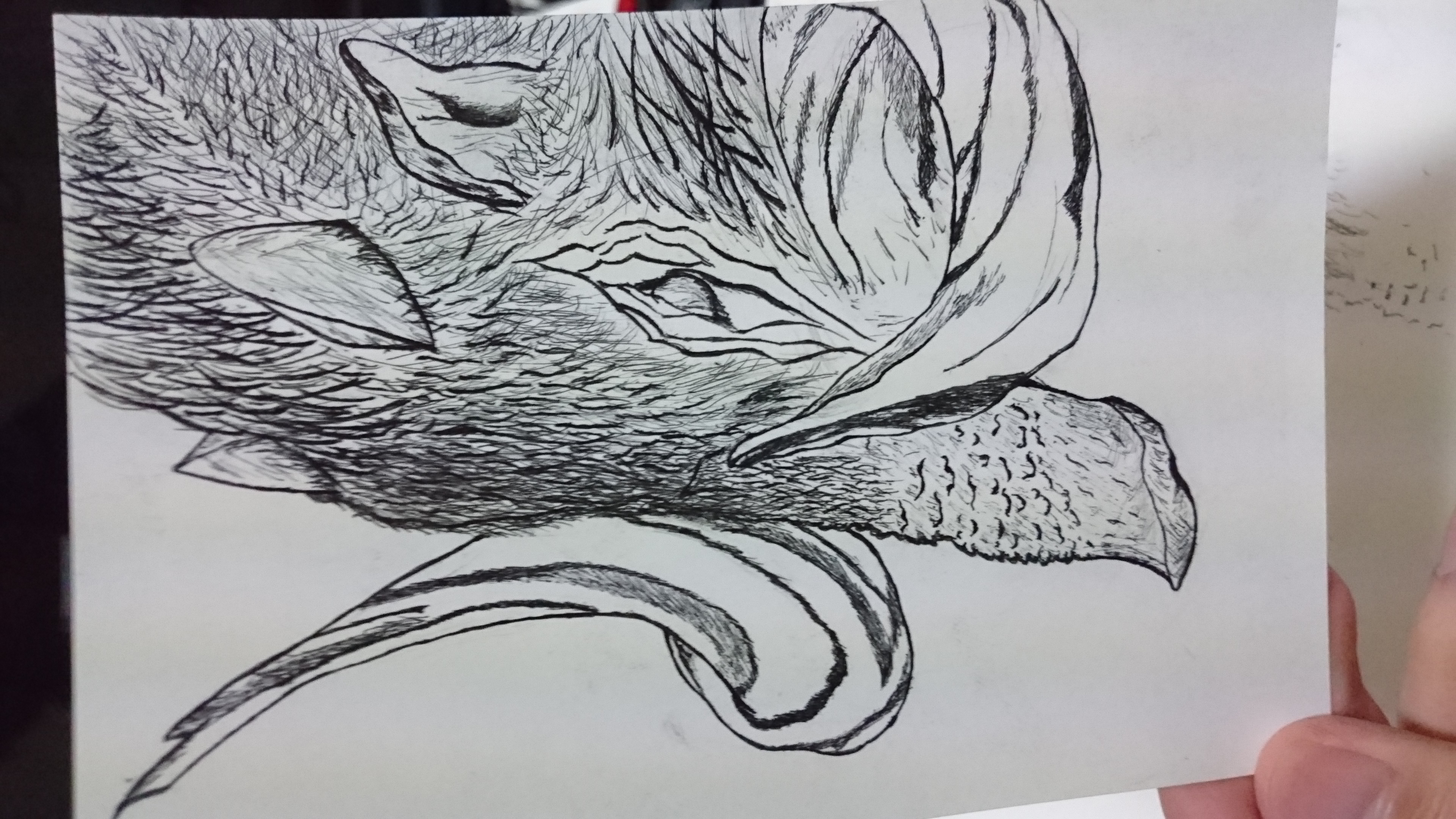 真夜中にお●んぽしてた