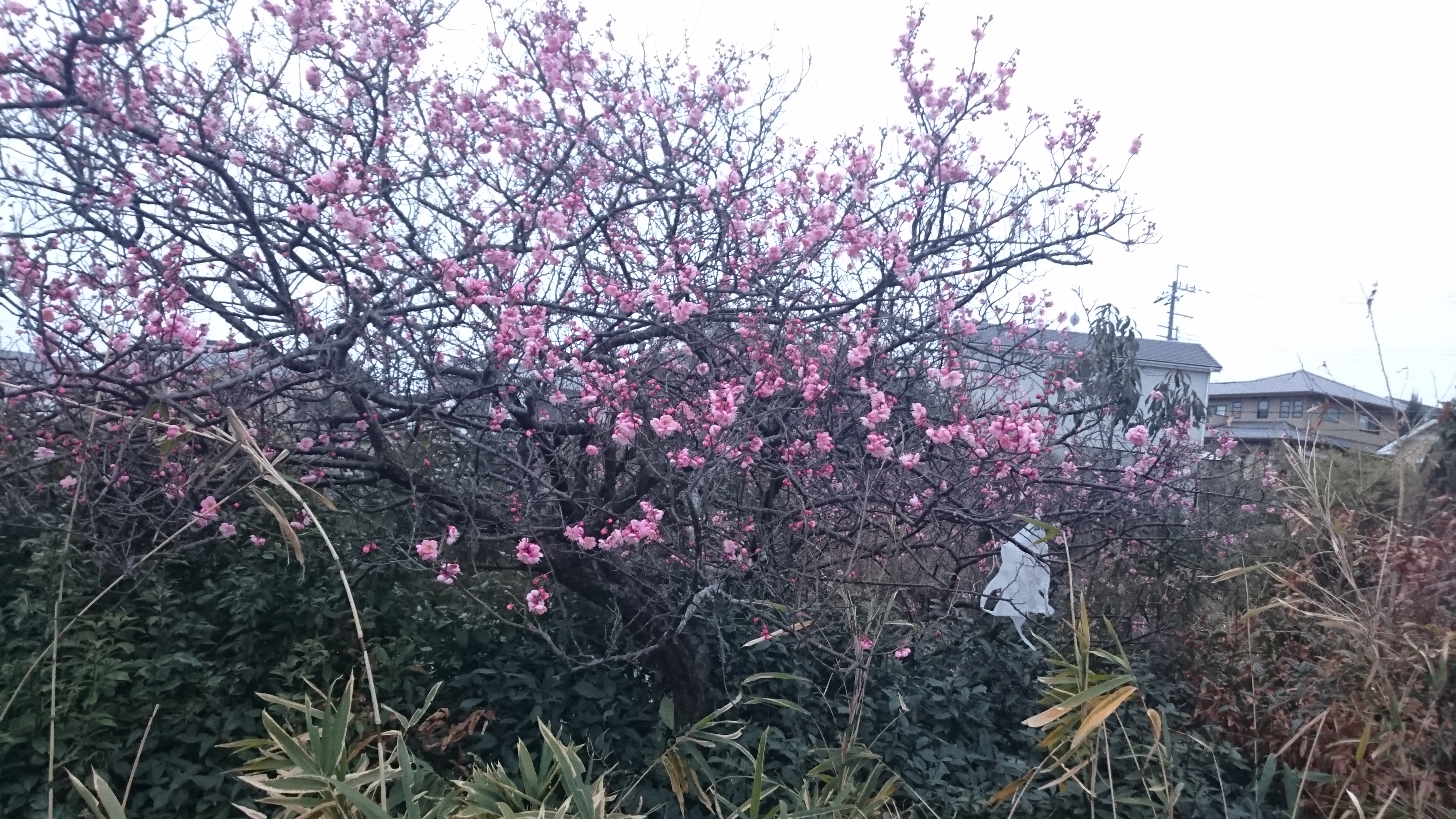 話す内容の整理はとても大切