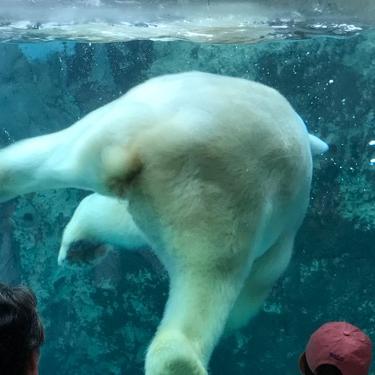 仕事帰りのクルマで独語