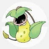 朝まで、ウツボットーーーク