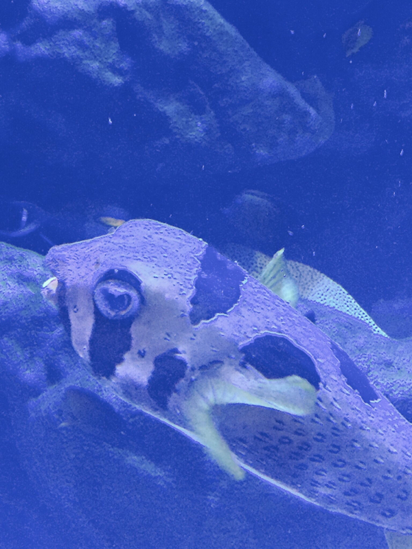 近況と最近読んだ小説