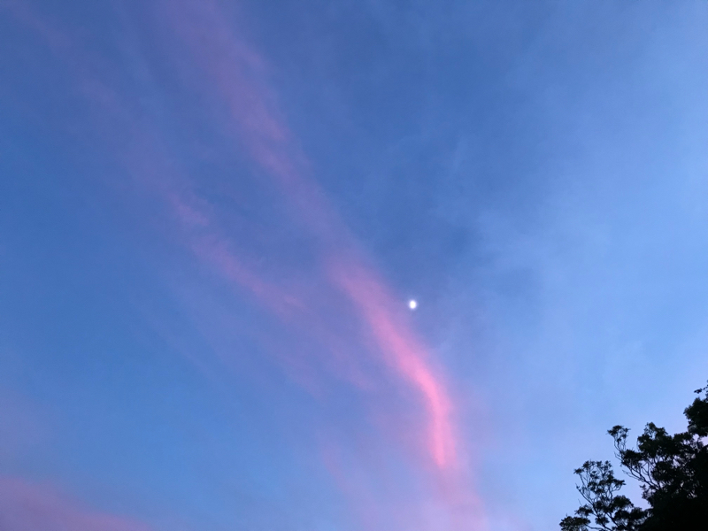 lv.16 記憶力がないわたしが生きる自信をなくした話。