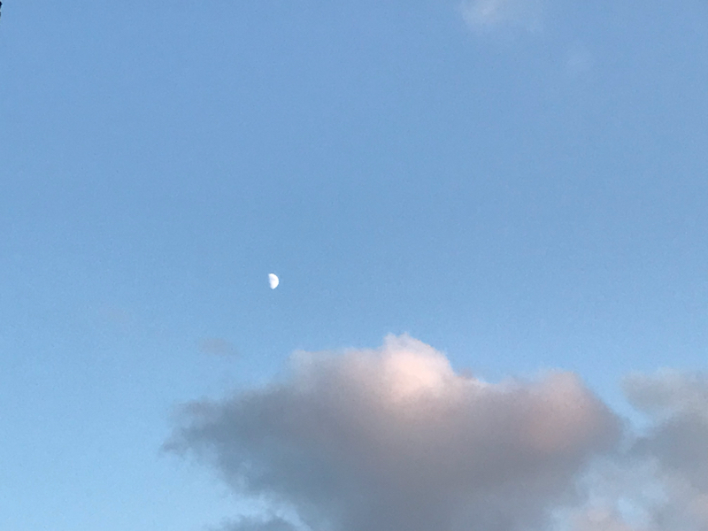 lv.2 ゆる〜く生きたいなって 1/36takes