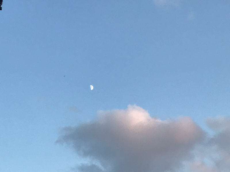 lv.6 JKに教わった自撮りアプリすごい！ 1/5takes