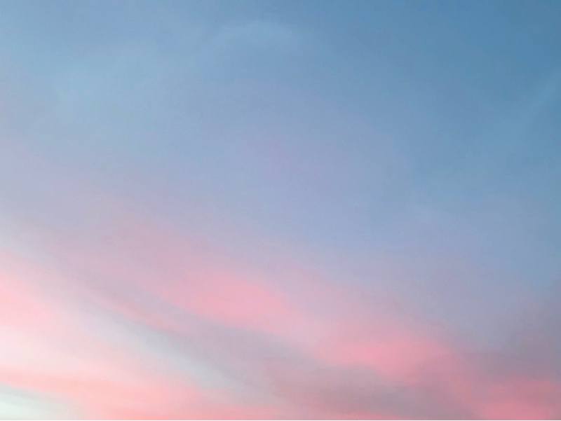 lv.23 泥沼にはまったような中2