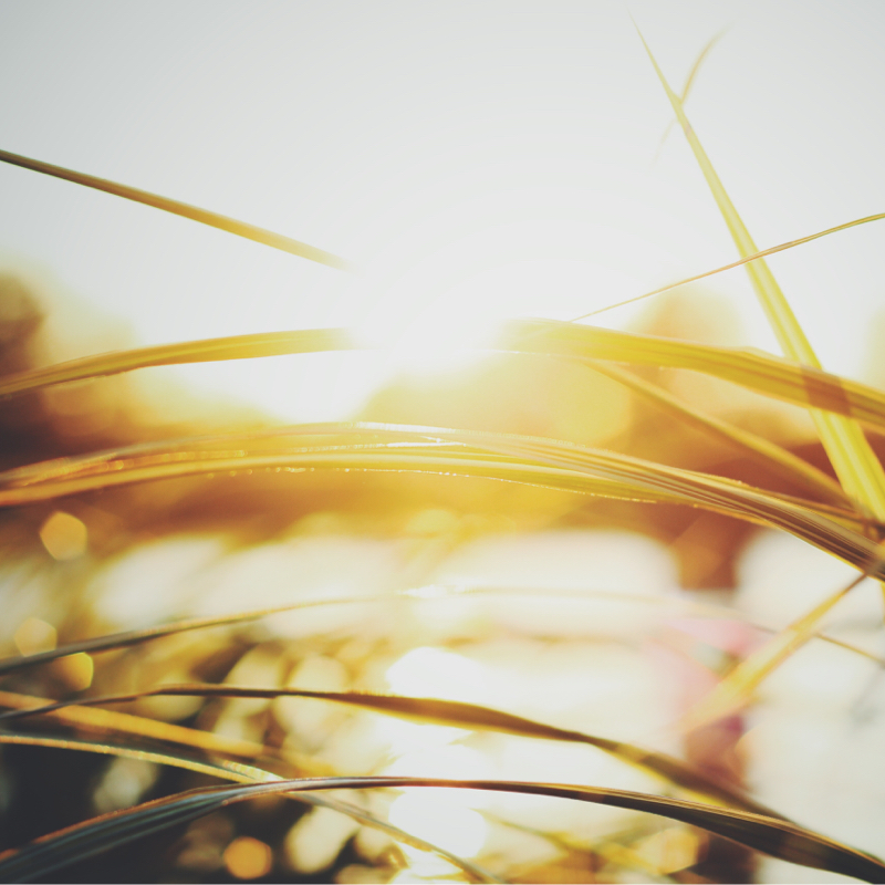 心地よいライフスタイルを作るには