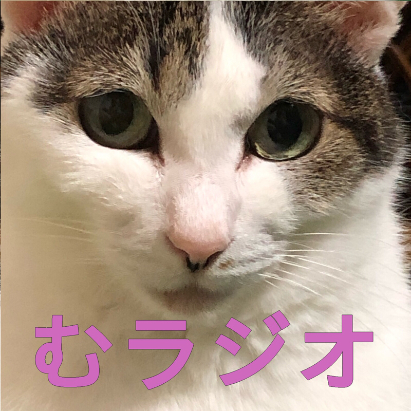 その25  四肢のない哺乳類