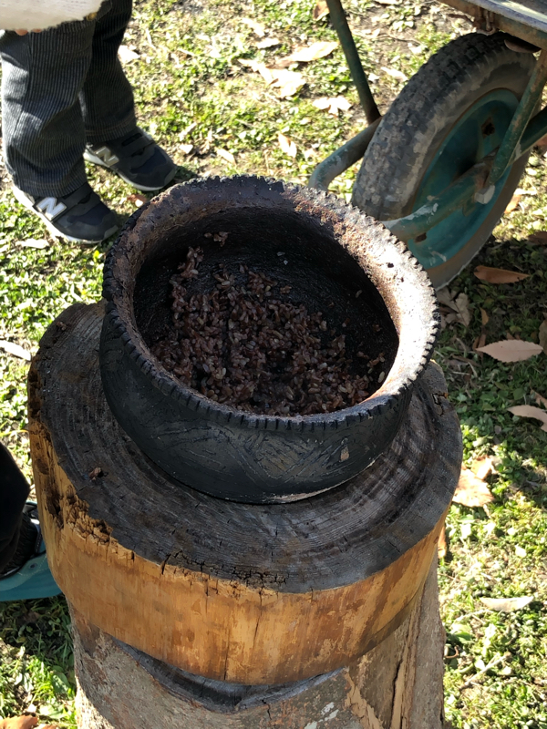 その8  タコの話の続きと「いいね」ボタンの話