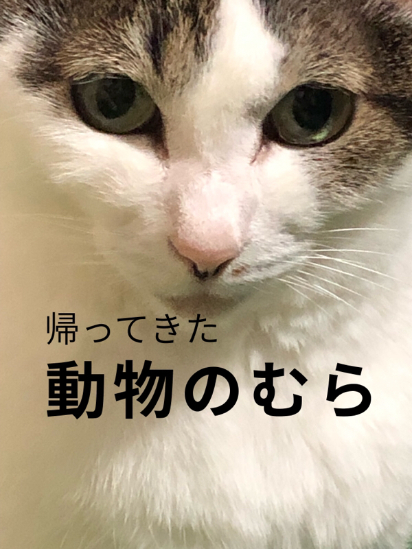 その9  タマゴについて