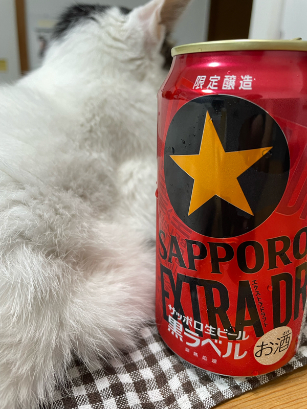 その238 ただいま茶づけ中