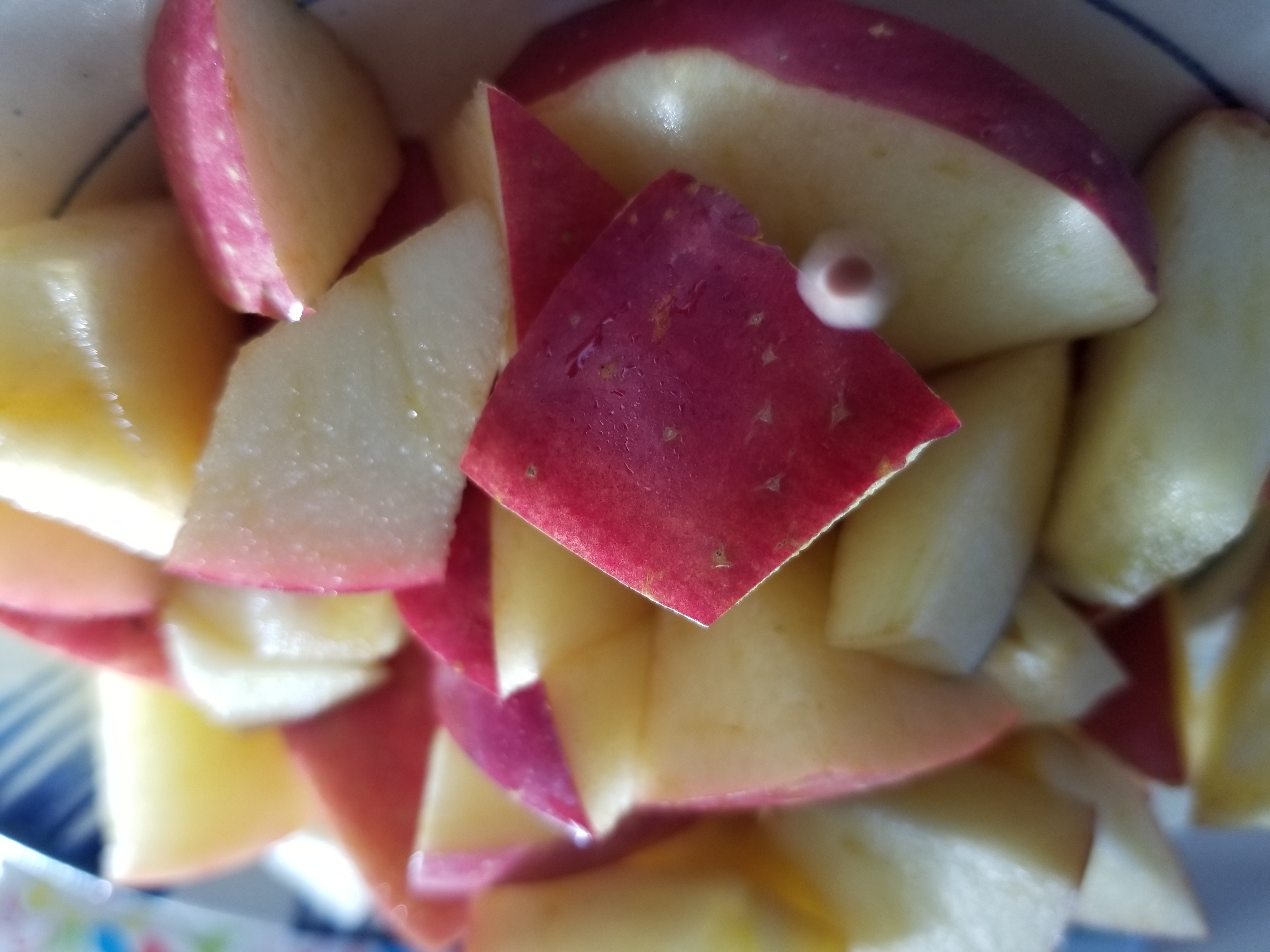 xjapan@インドネシア大学学園祭