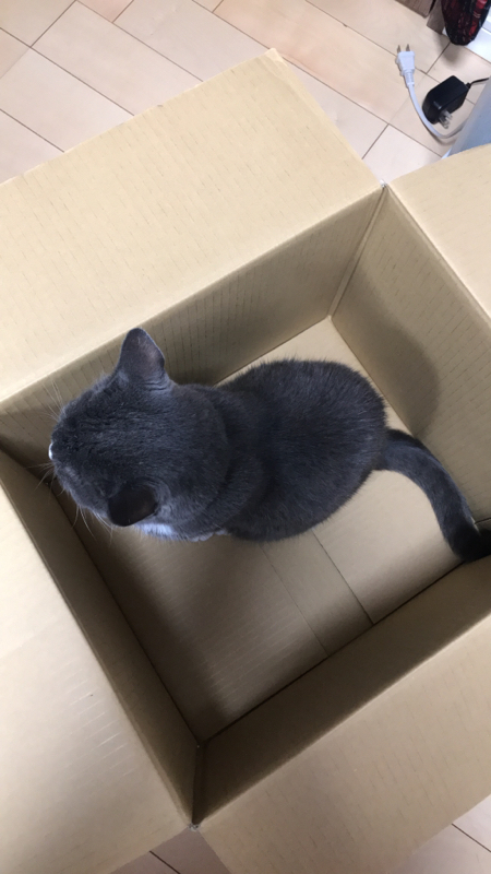 寝る前の勢い投稿（笑）