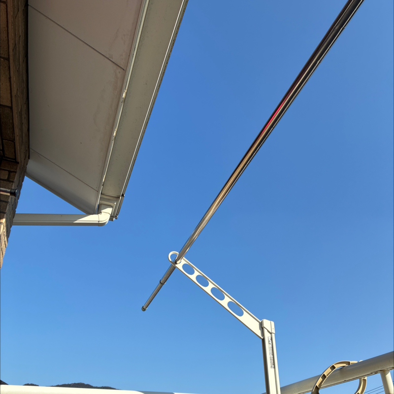 #102 平日昼間のベラピング