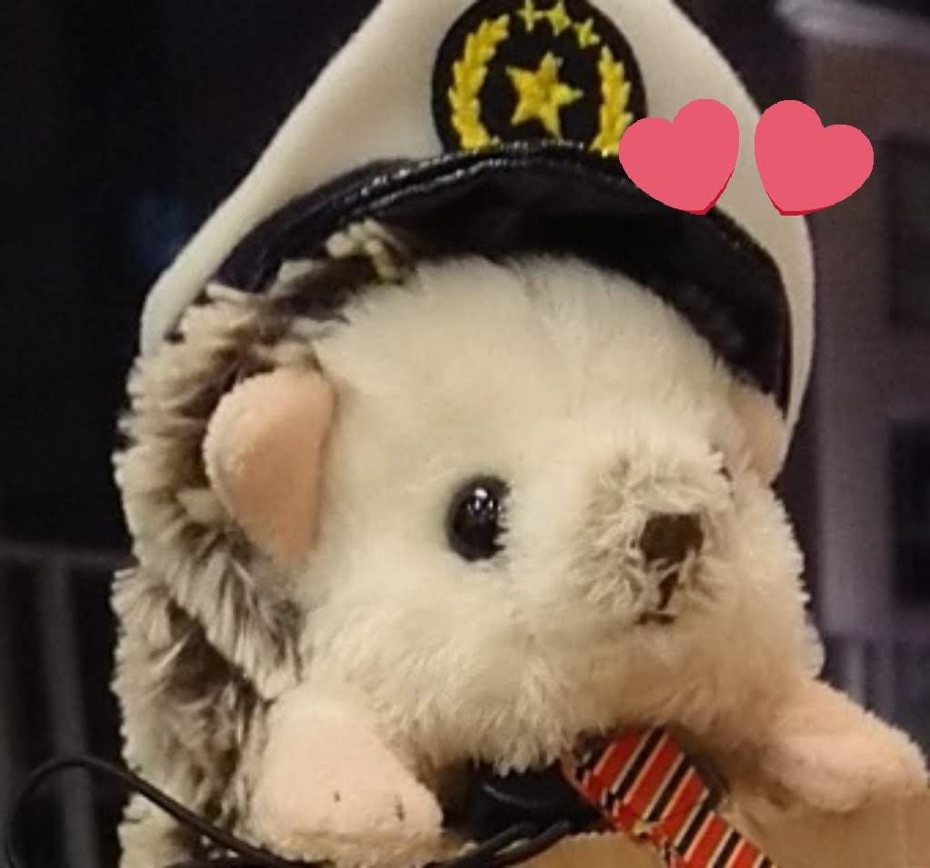 しもじまジョンのうたたね回し車 