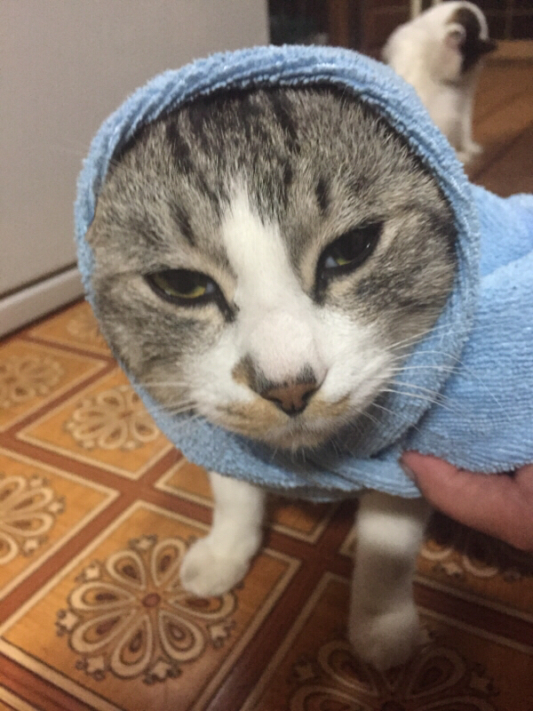 【オフ】仙人の子による○○