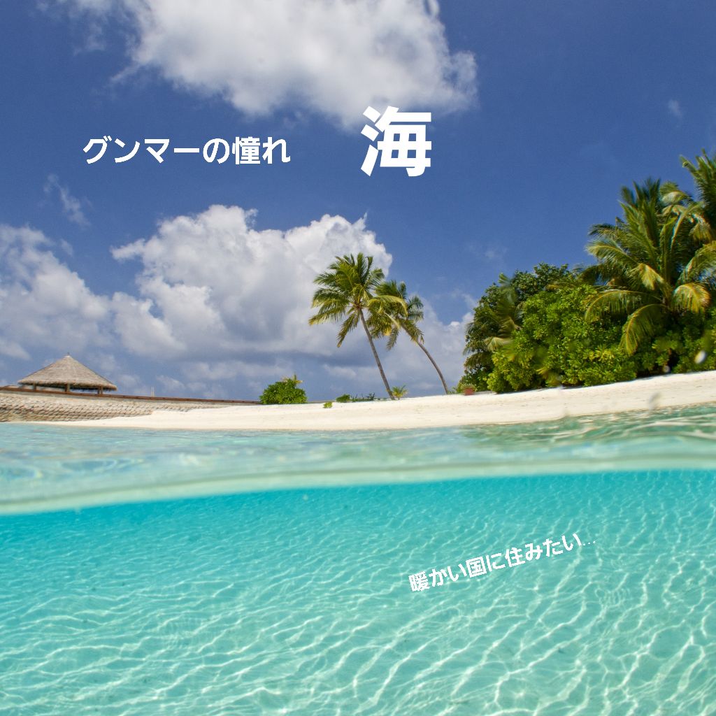 マオノキャスター顛末記(やたらグダグダ)