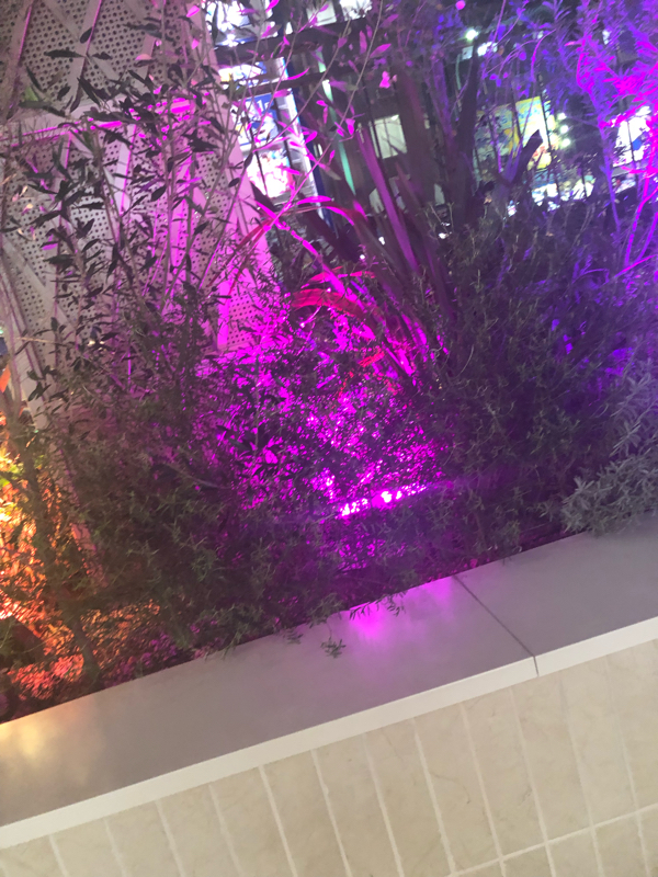 好きなキッチン用品があります