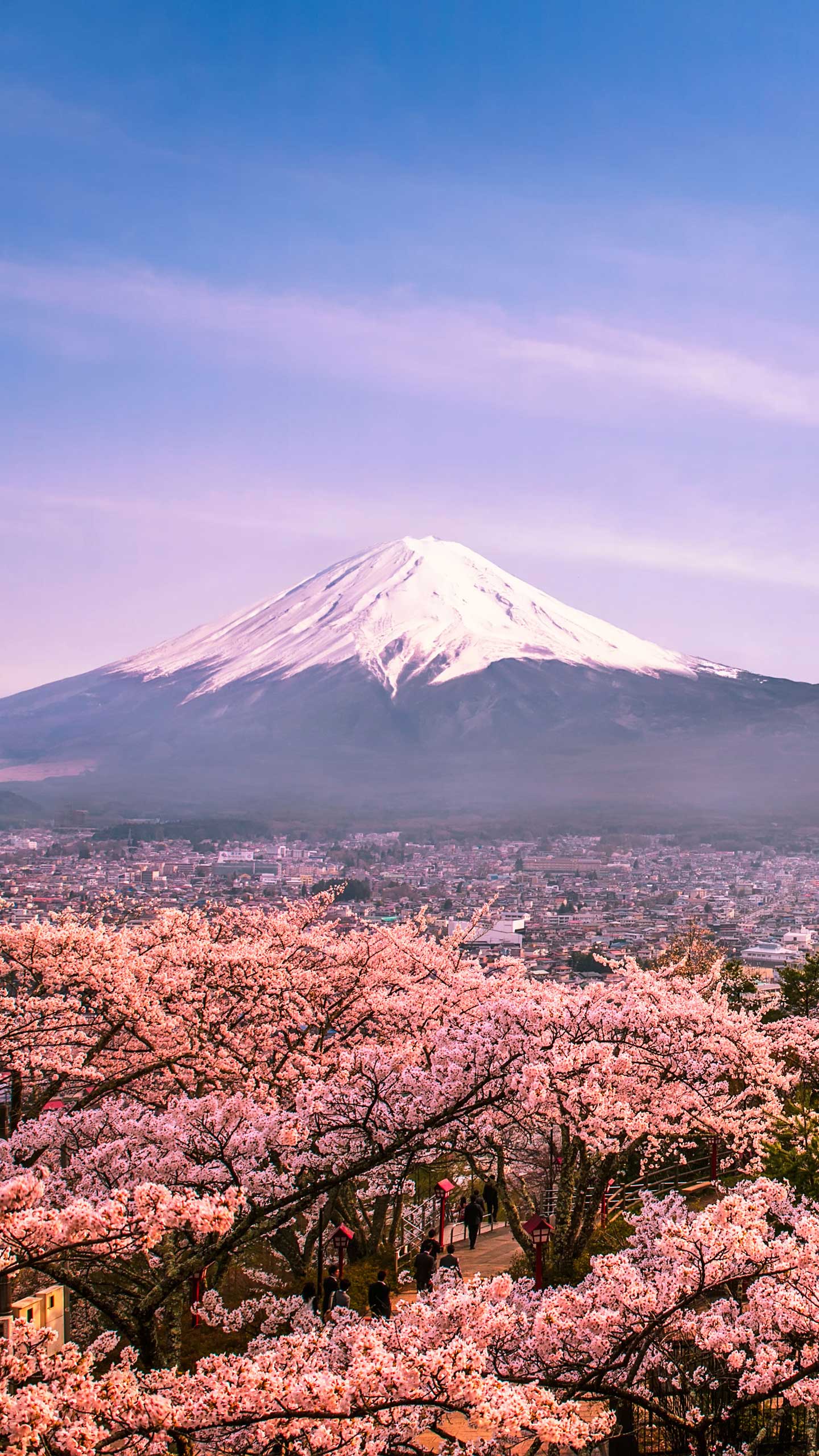ダメオヤジの新年トーク