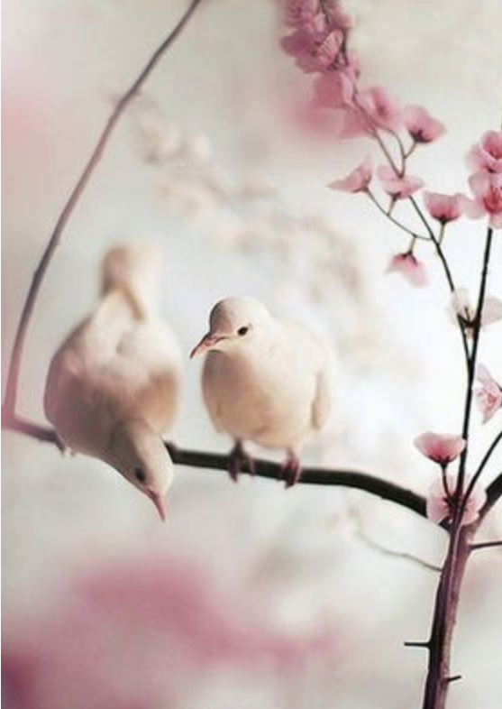 悩みは如何に解消するか❗