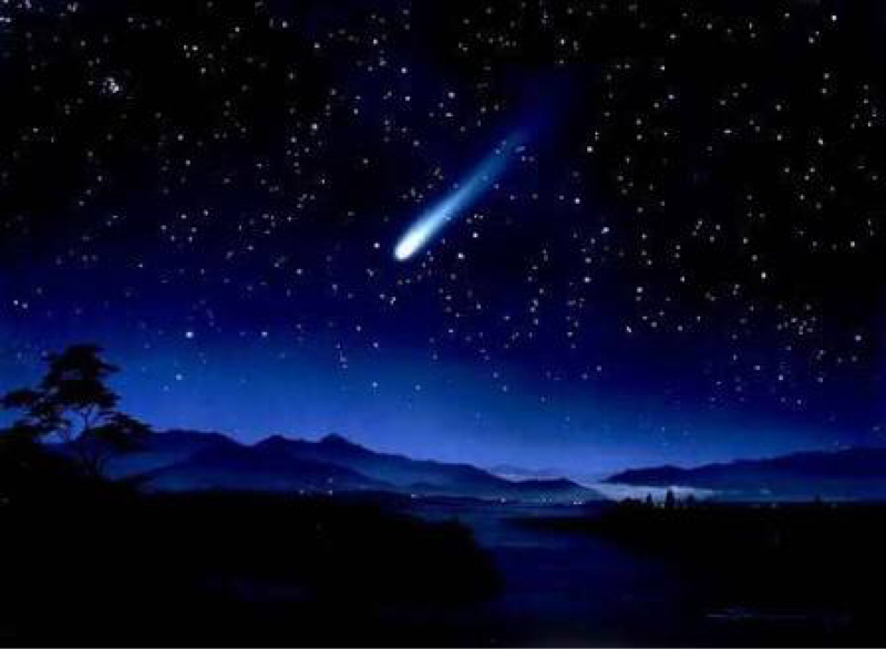 第4回 電動歯ブラシについて