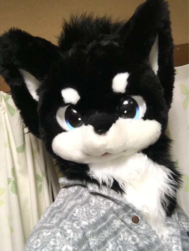 【腐男子トーク注意】眠れないので語るよ